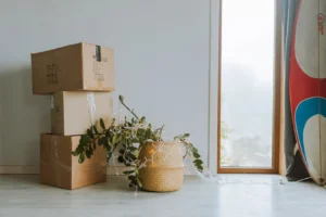A cozy indoor scene featuring cardboard boxes, a plant, and a surfboard near a window.